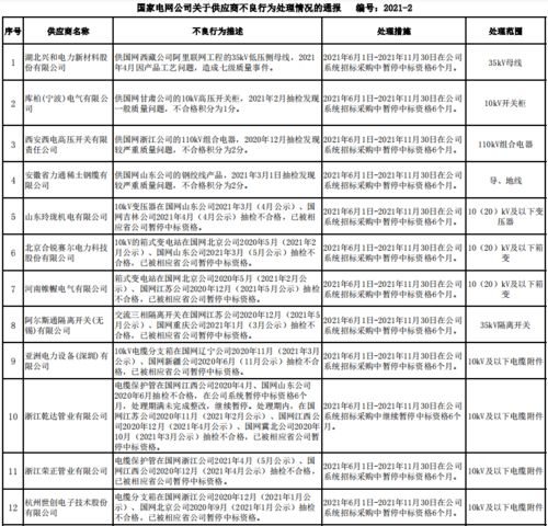 國家電網(wǎng)公司2021年6月供應(yīng)商不良行為處理情況通報(bào) 聚焦數(shù)據(jù)處理服務(wù)領(lǐng)域